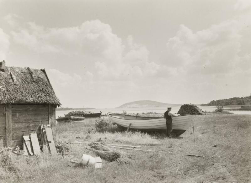 Utsikt från Ivösjöns strand