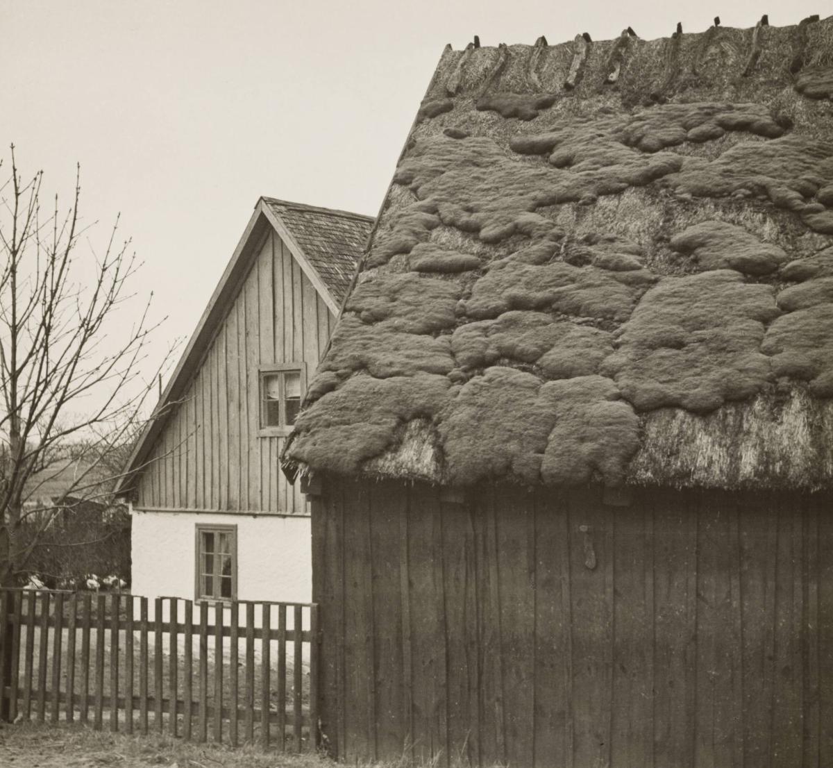 Gård i Vitaby