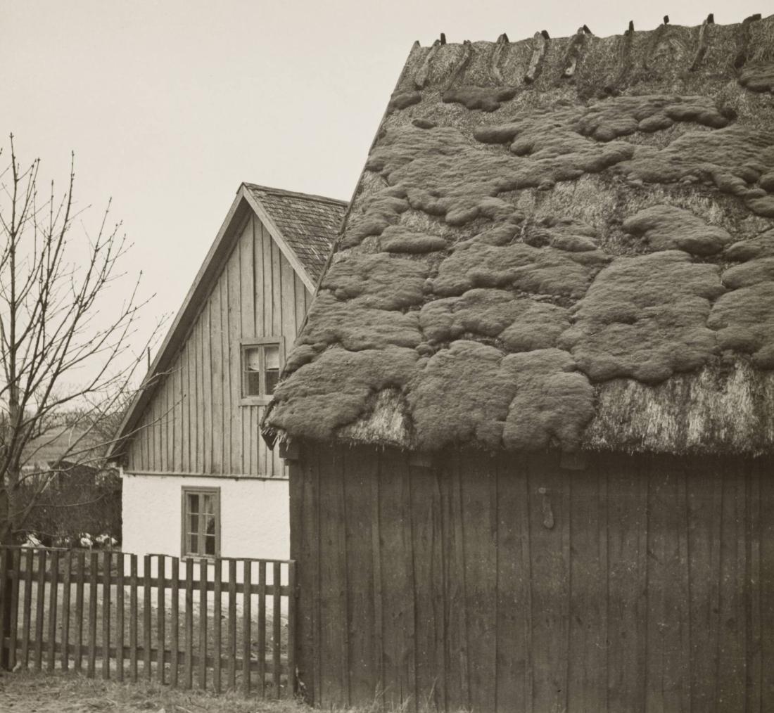 Gård i Vitaby