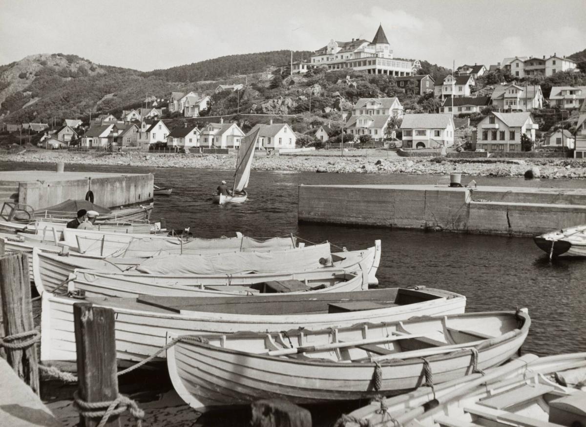 Mölle