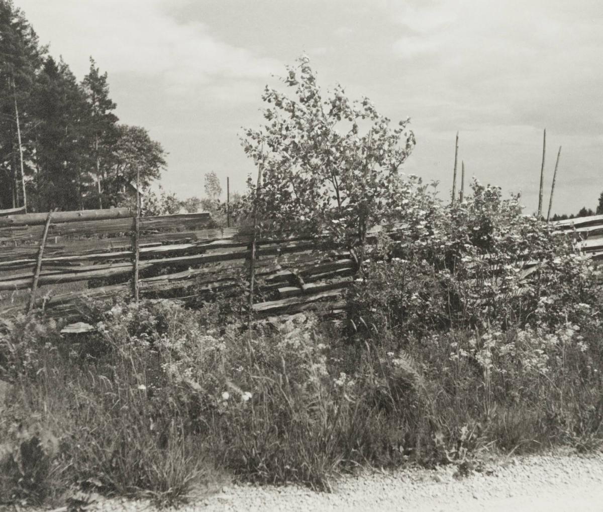 Gärdesgård