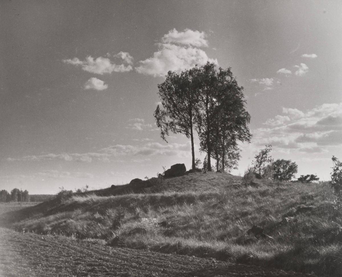 Gravhög