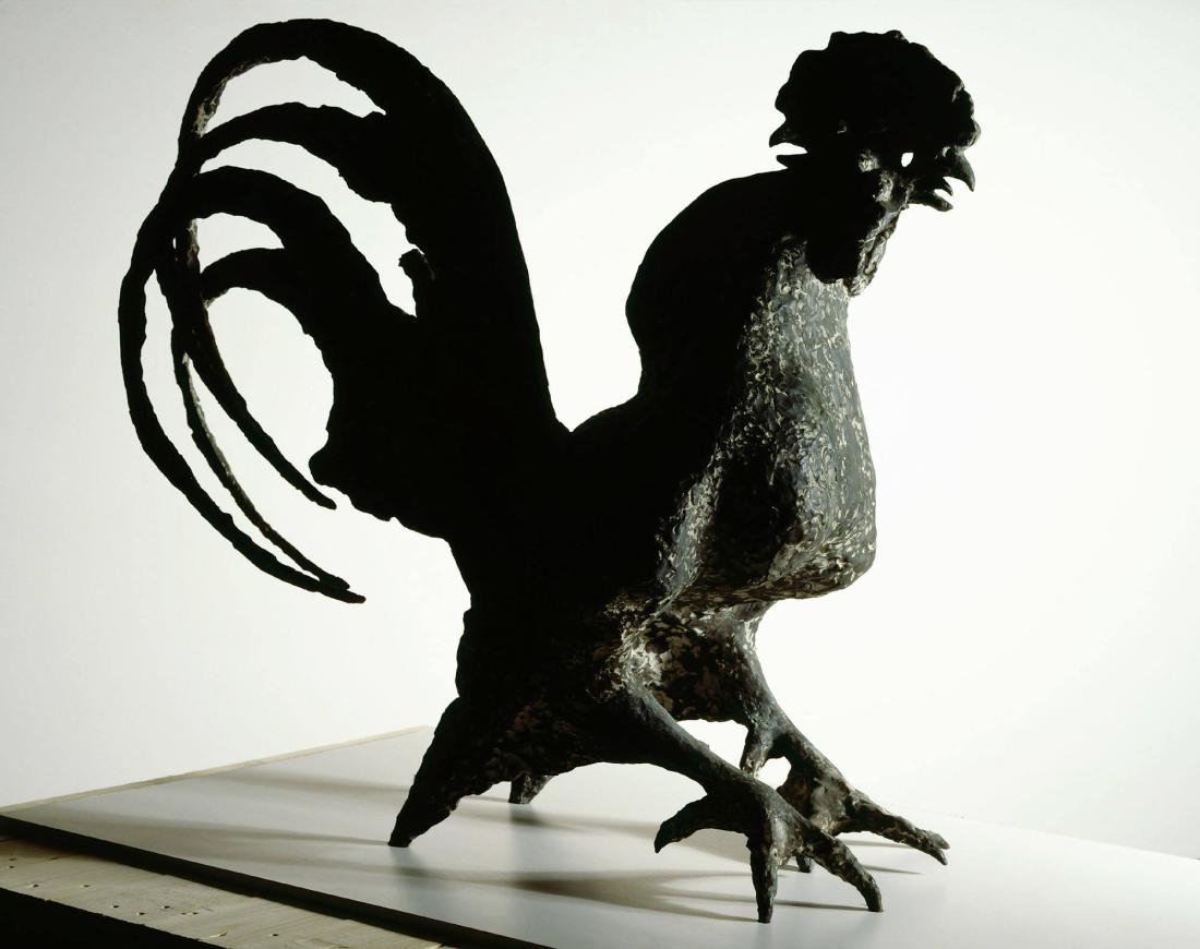 Gallo