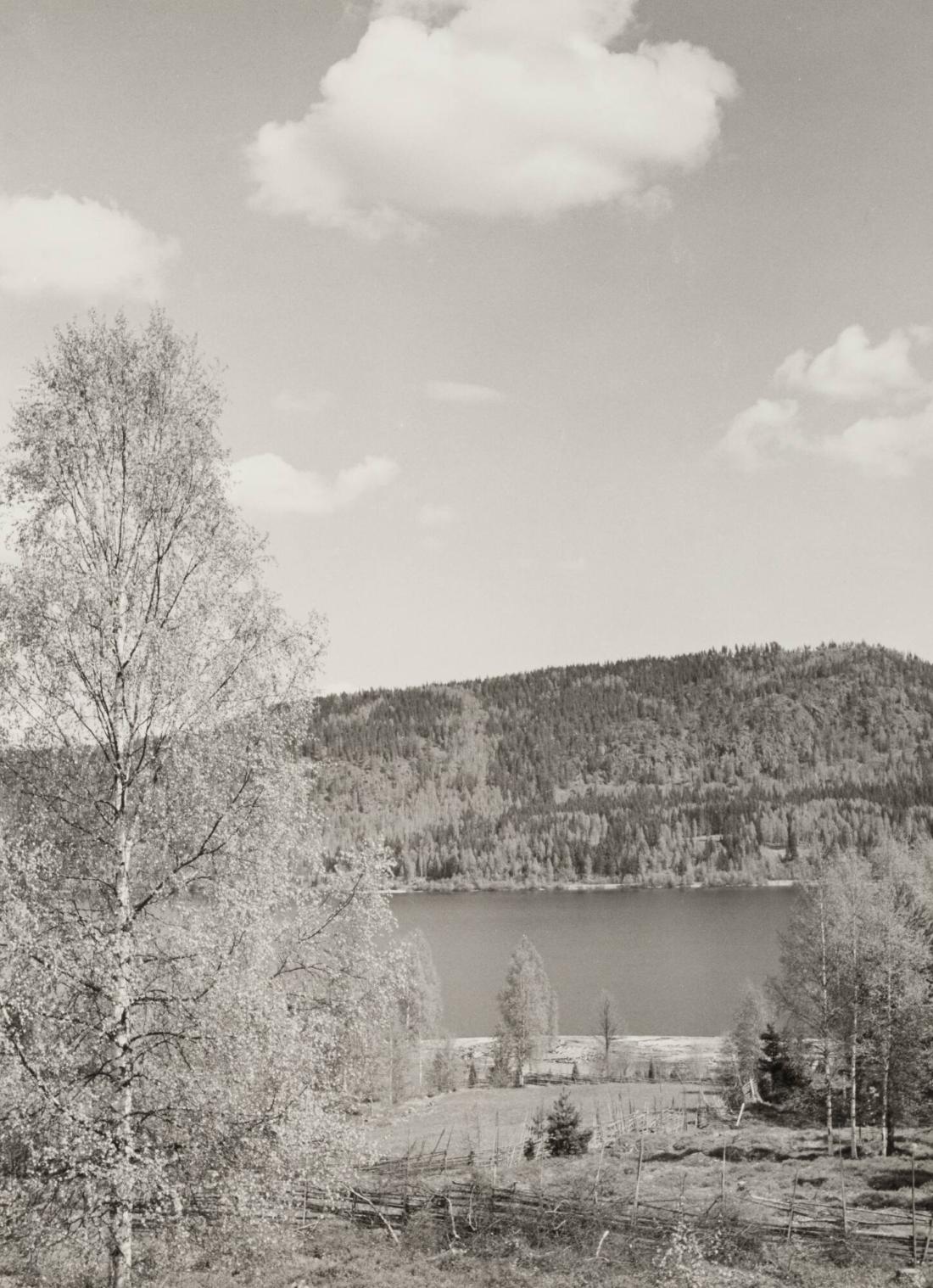 Rottnen från gård i Sandviken, Gräsmarks socken maj 1951