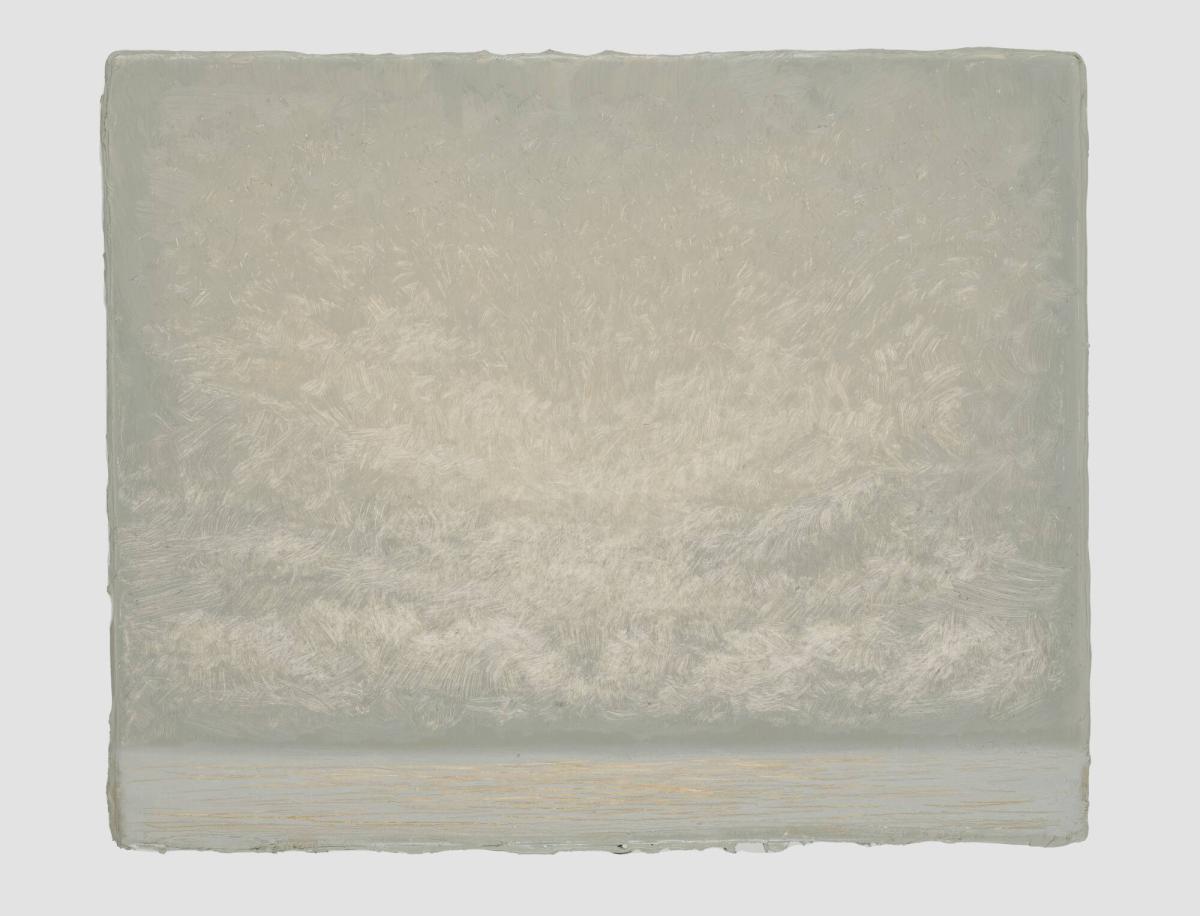 Untitled (from the Deserto-Modelo series)

