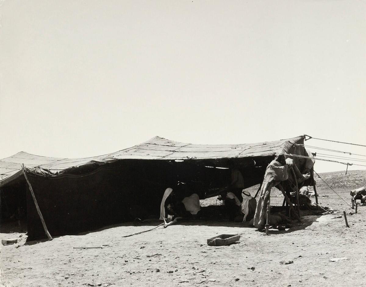 Bedouin, Israel