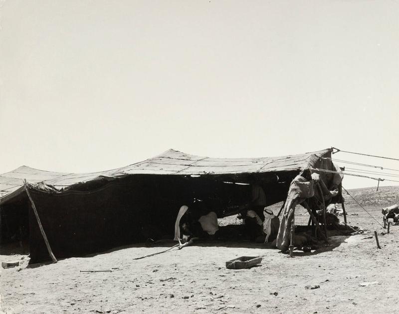 Bedouin, Israel