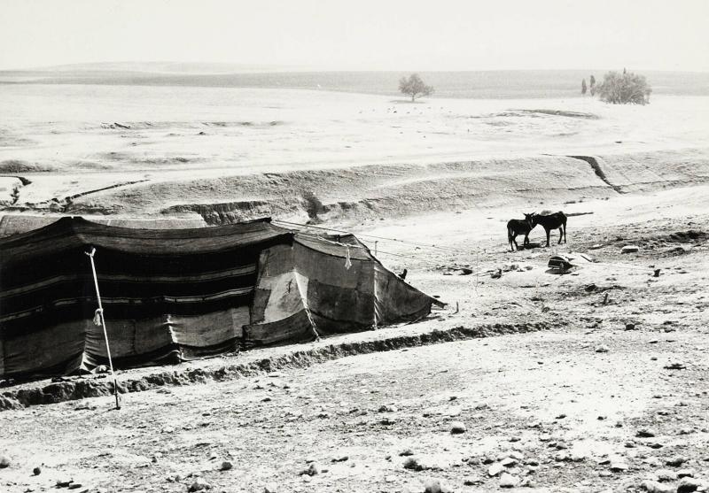 Beduin tent, Israel