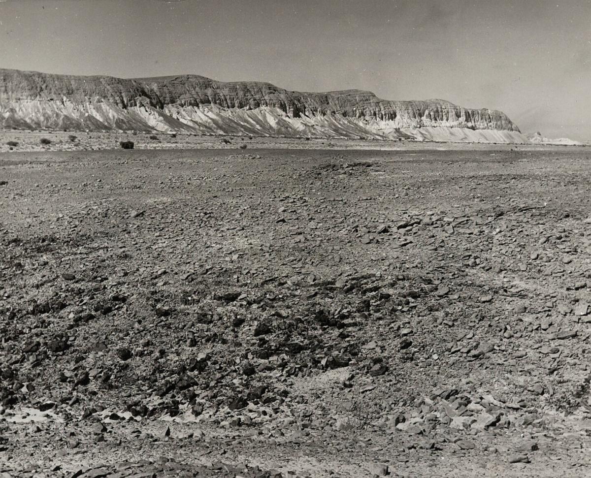 Öken, Israel