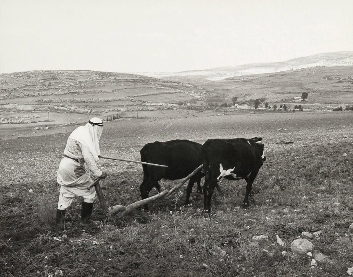 Samarieslätten, Israel