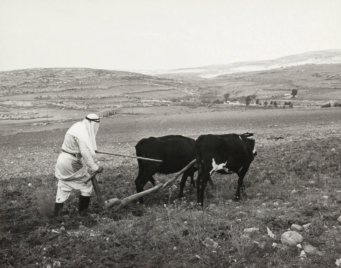 Samarieslätten, Israel