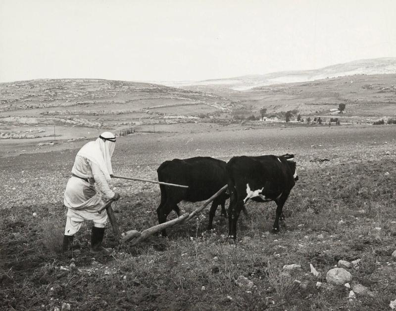 Samarieslätten, Israel