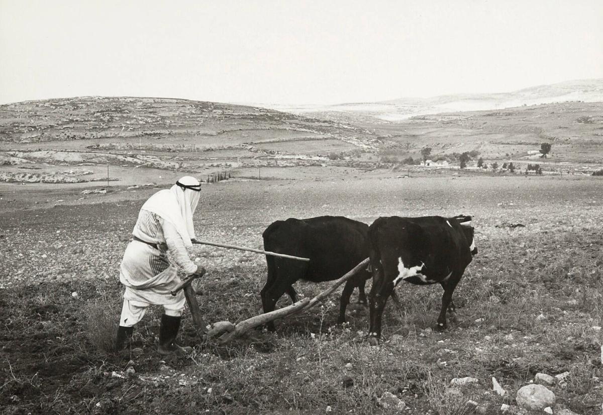 Samarian or Sebastian, Israel