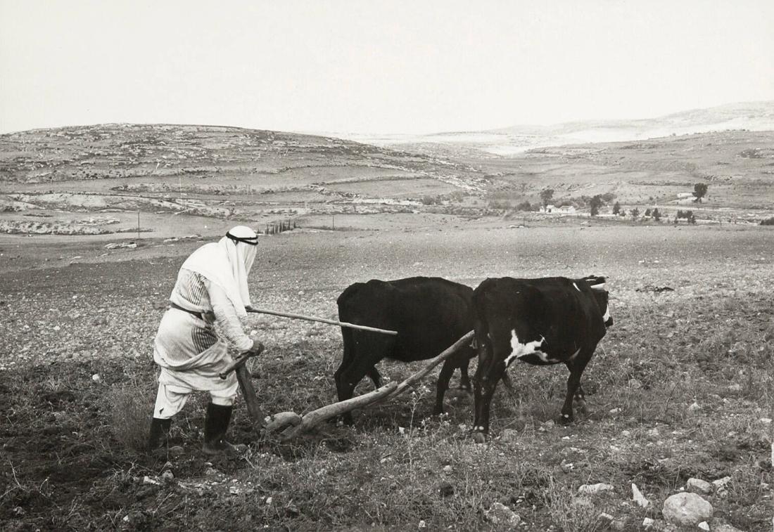 Samarian or Sebastian, Israel