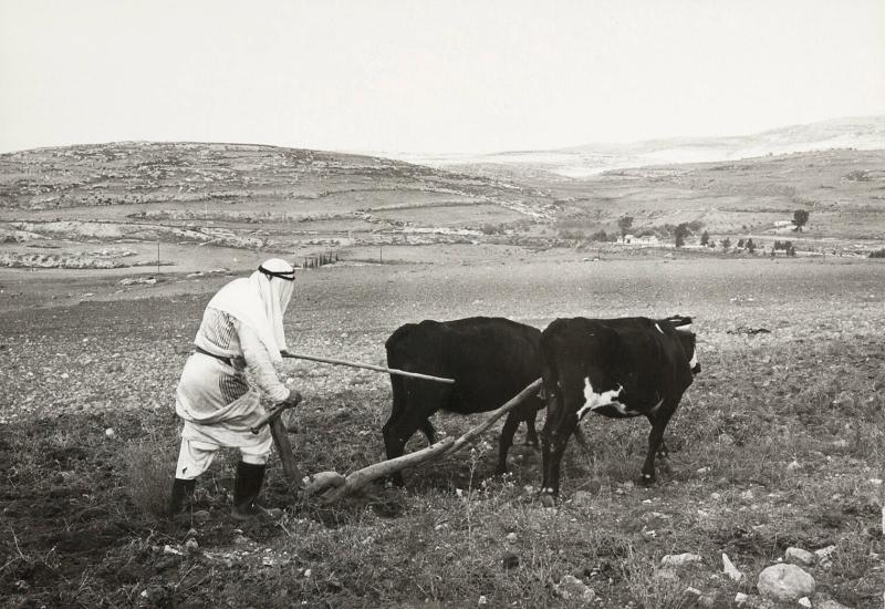Samarian or Sebastian, Israel