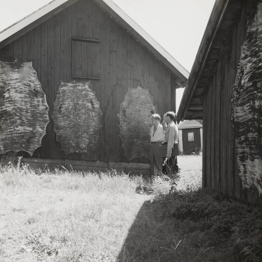 Harstena, Gryt