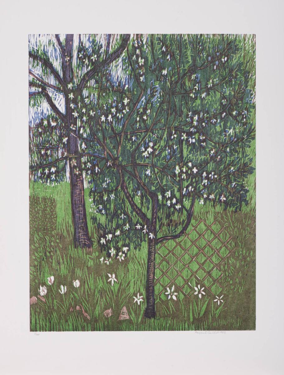 Blommande plommonträd