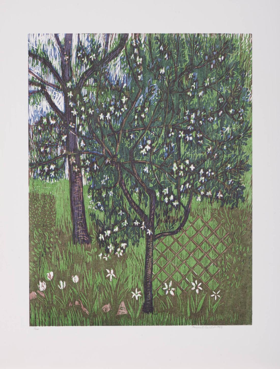 Blommande plommonträd