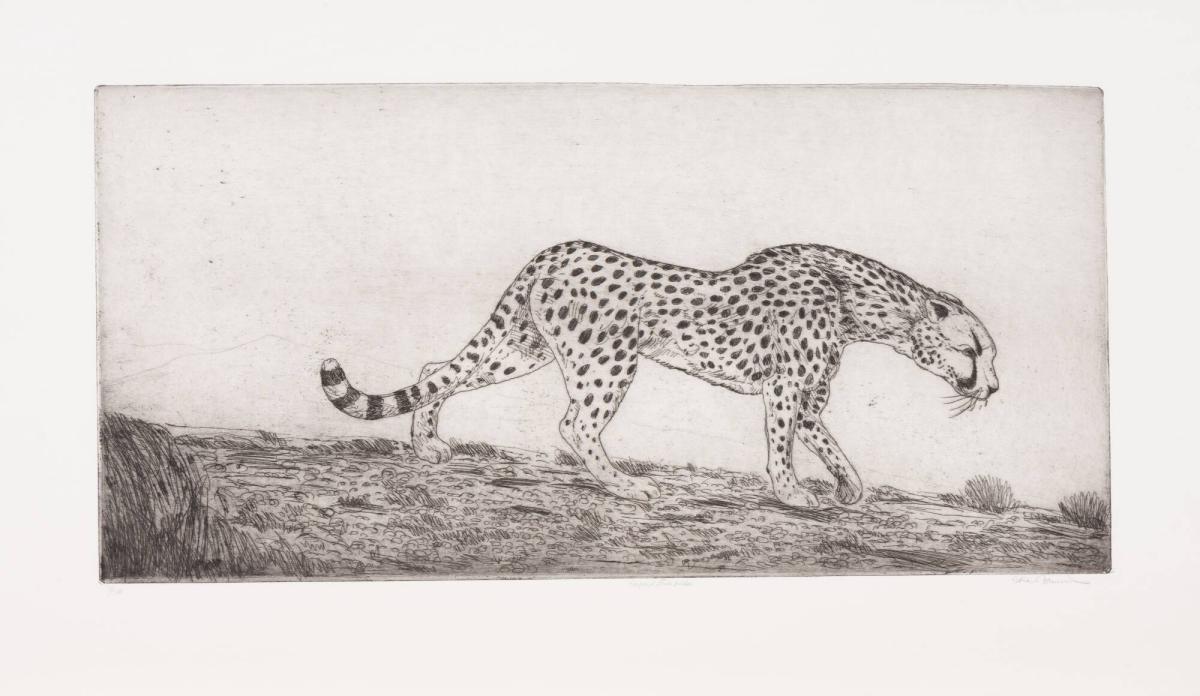 Gepard