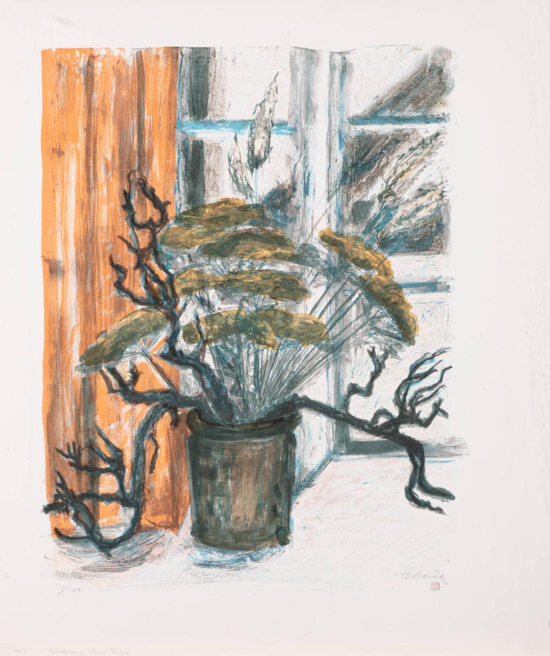 Vinterblomma