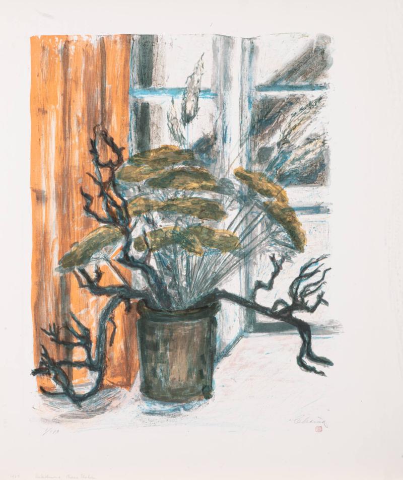 Vinterblomma