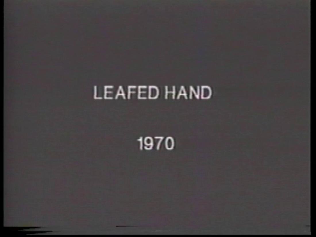 Leafed Hand. From the series Aspen Projects