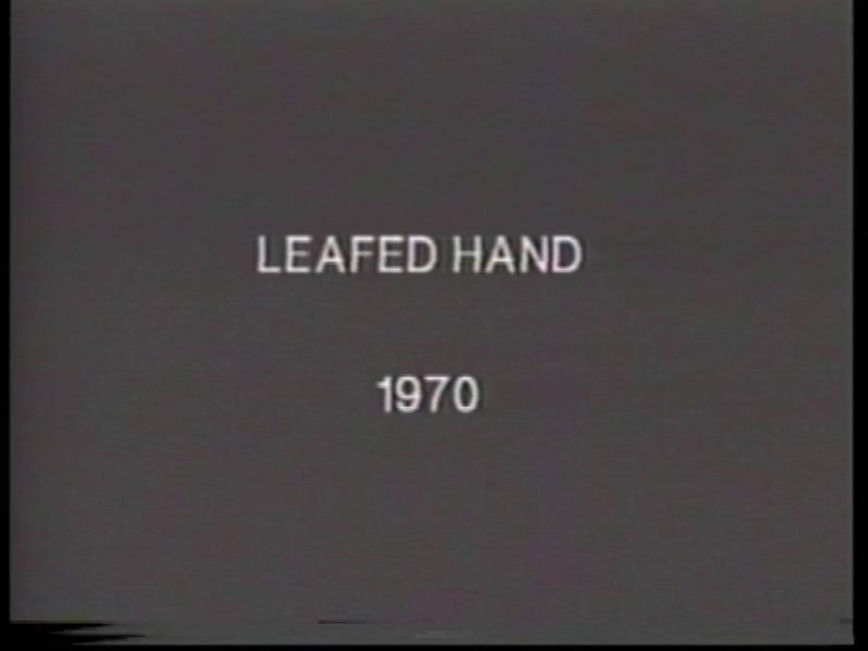 Leafed Hand. From the series Aspen Projects