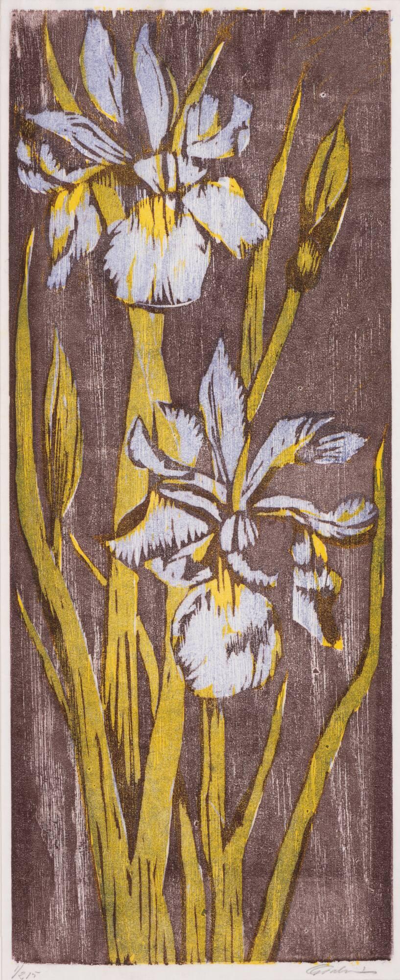 Iris
