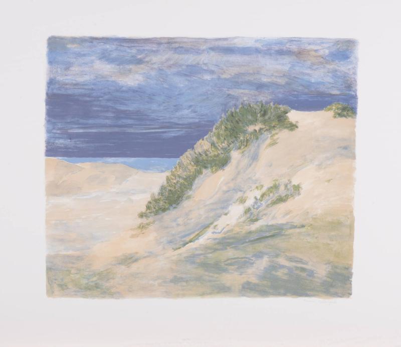 Sanddyn, Skagen