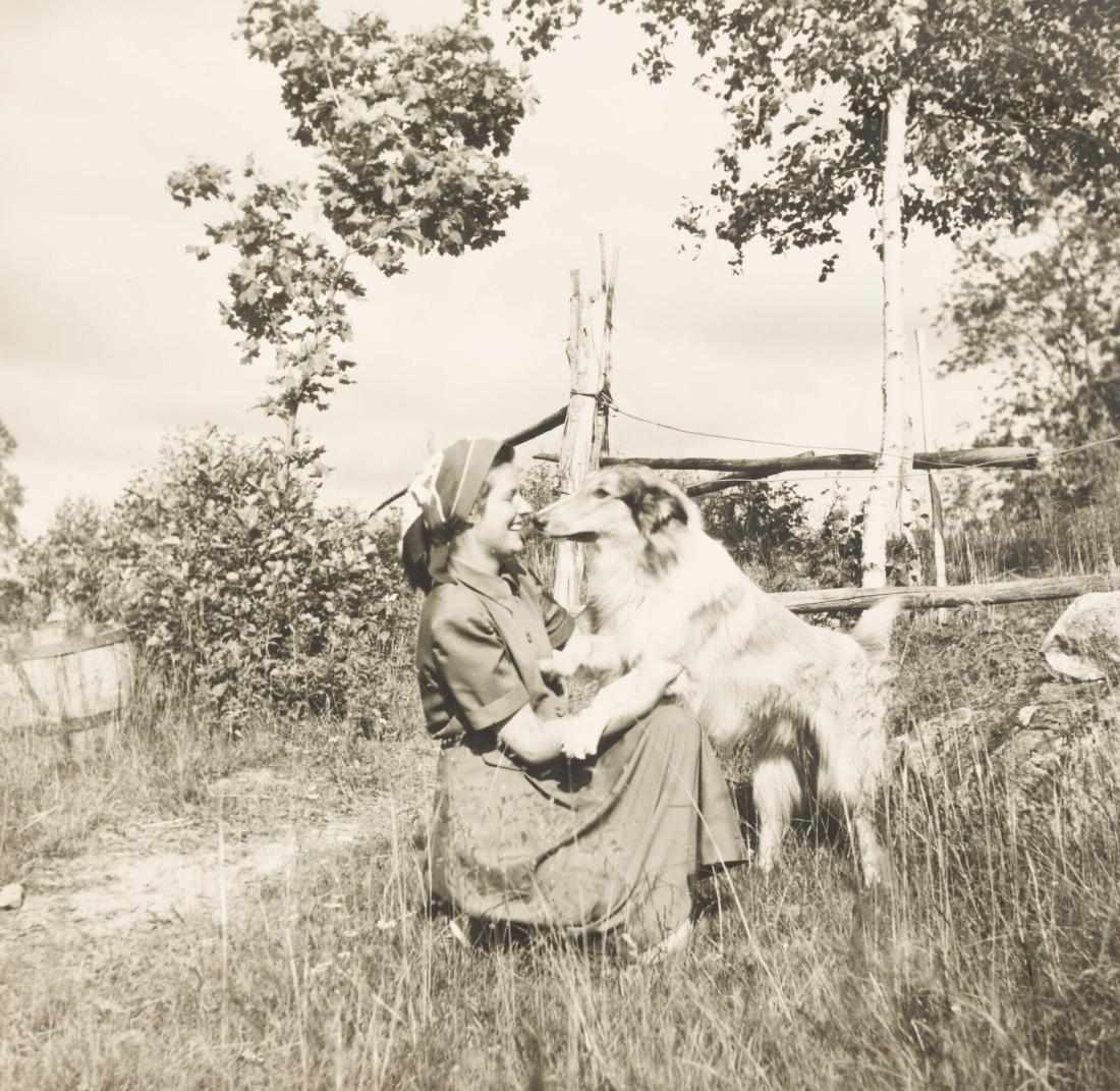 Flickan och hunden
