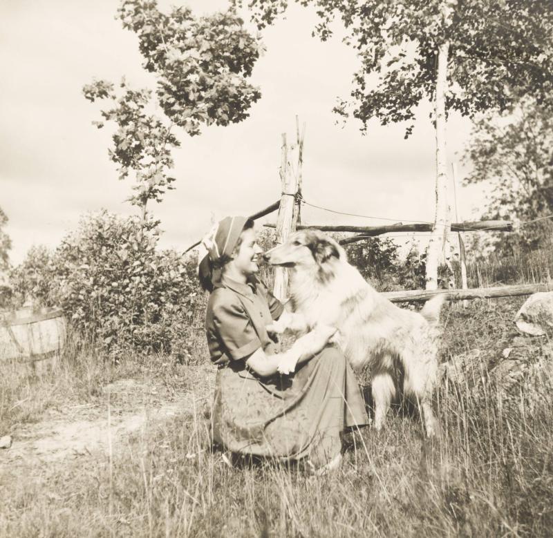 Flickan och hunden