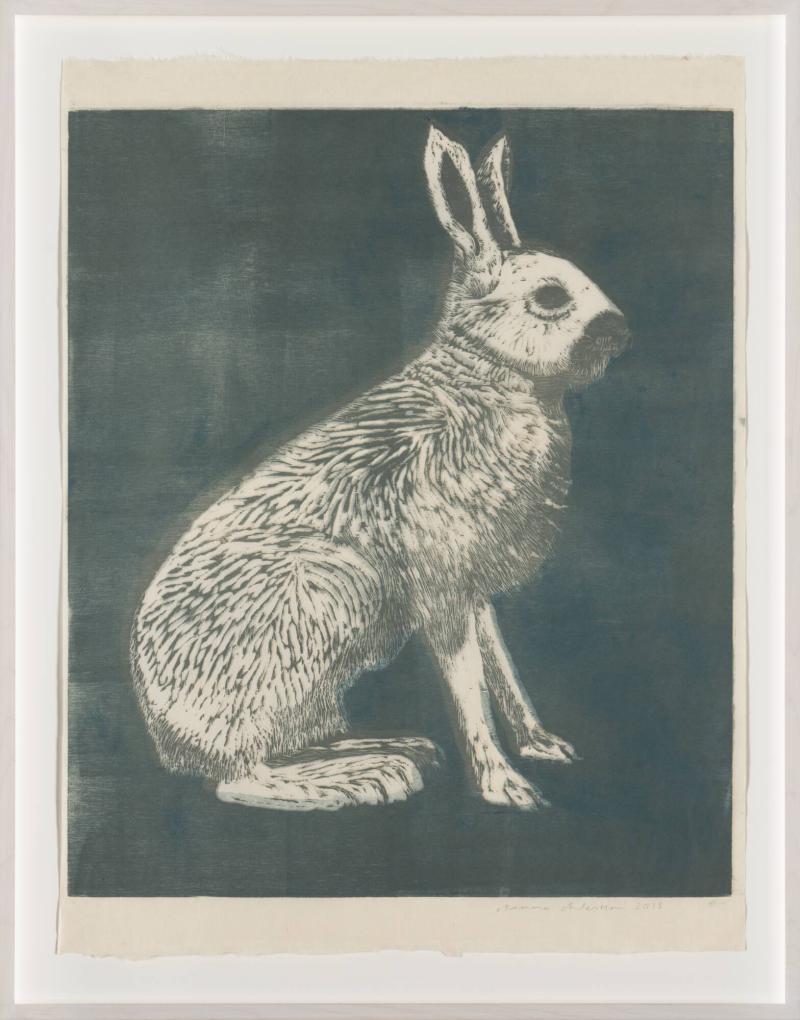 Hare