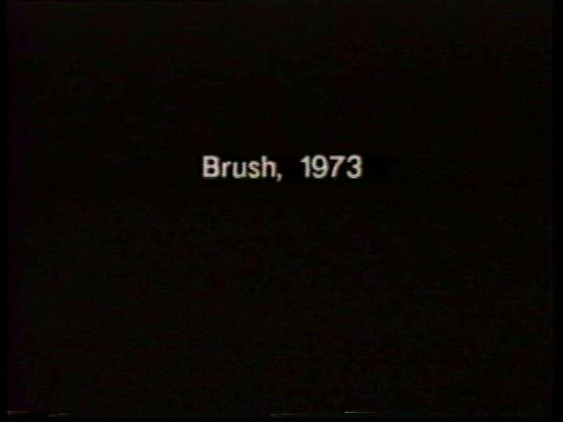 Brush. From the series Program Three