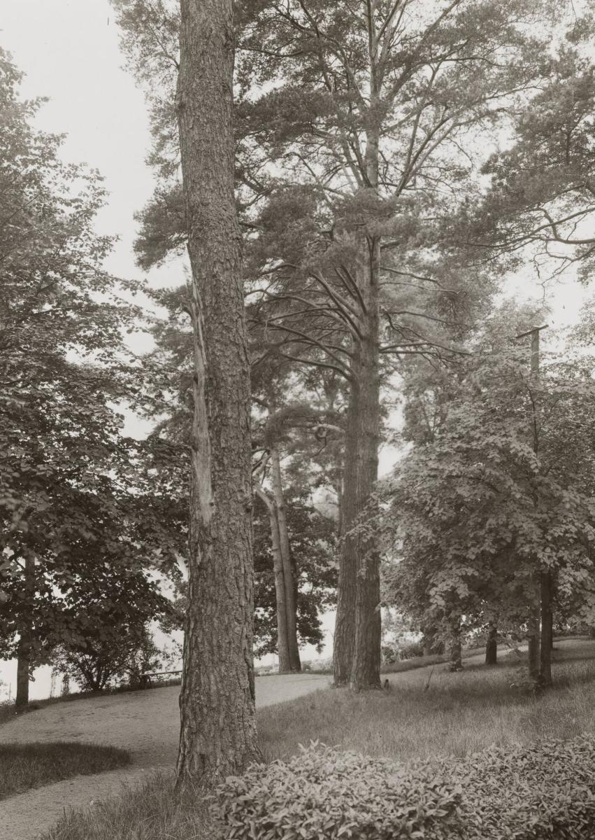 Gamla Djursholm