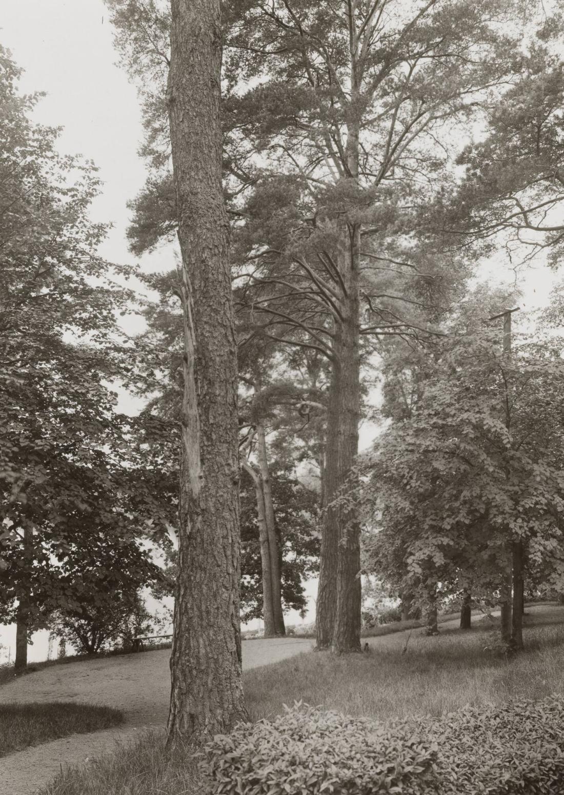 Gamla Djursholm