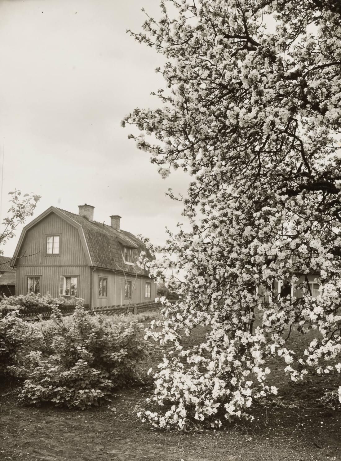 Uppland. Sigtuna