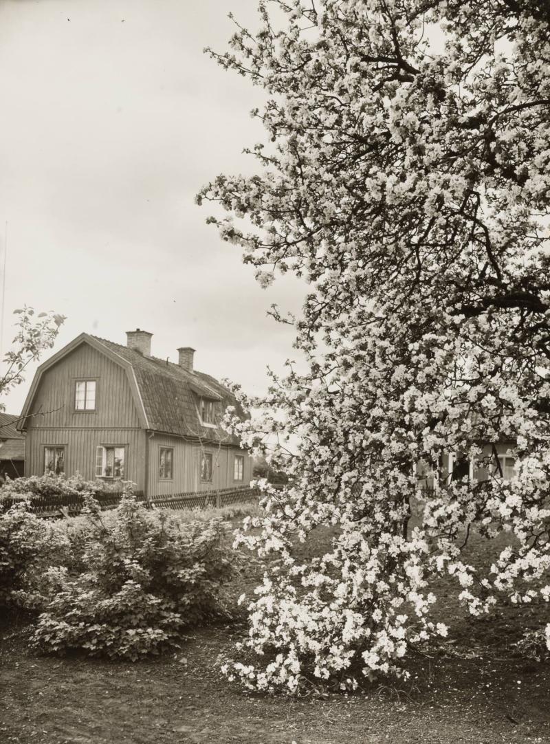 Uppland. Sigtuna
