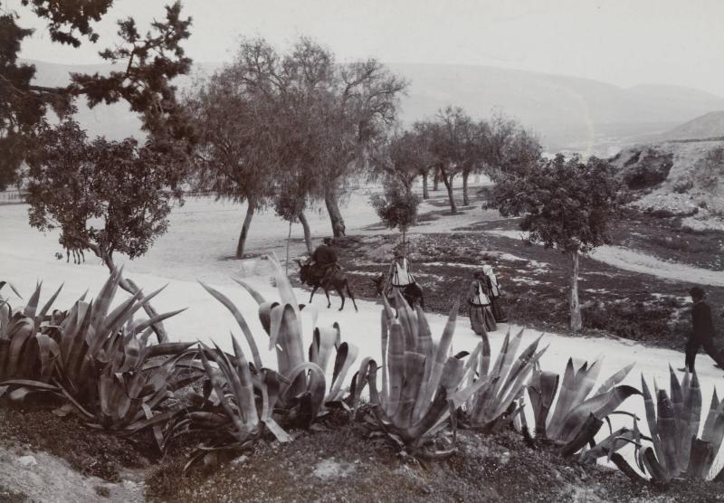 Akropolis omgivning