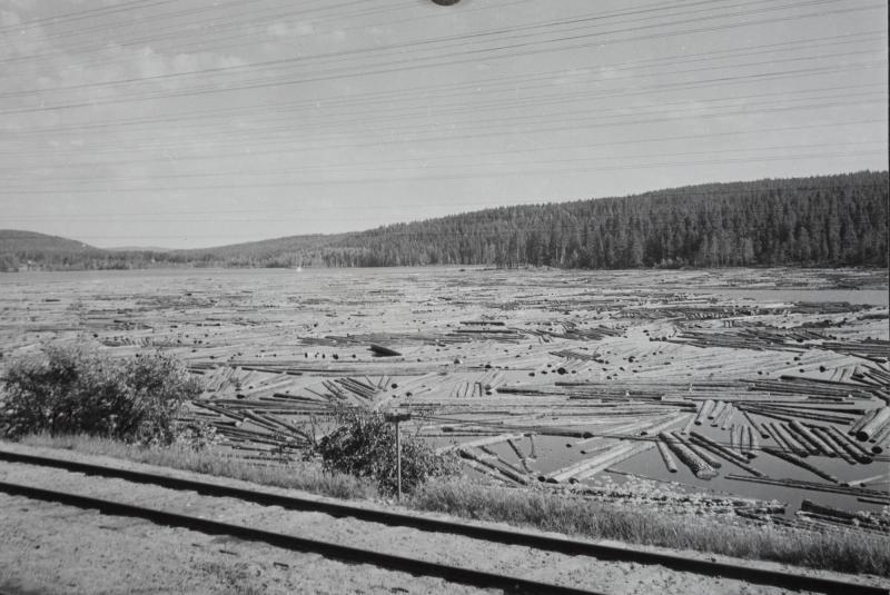 Dalarna: Timmer i Dalälven