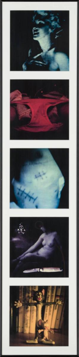 Saint´s Image Country SX-70