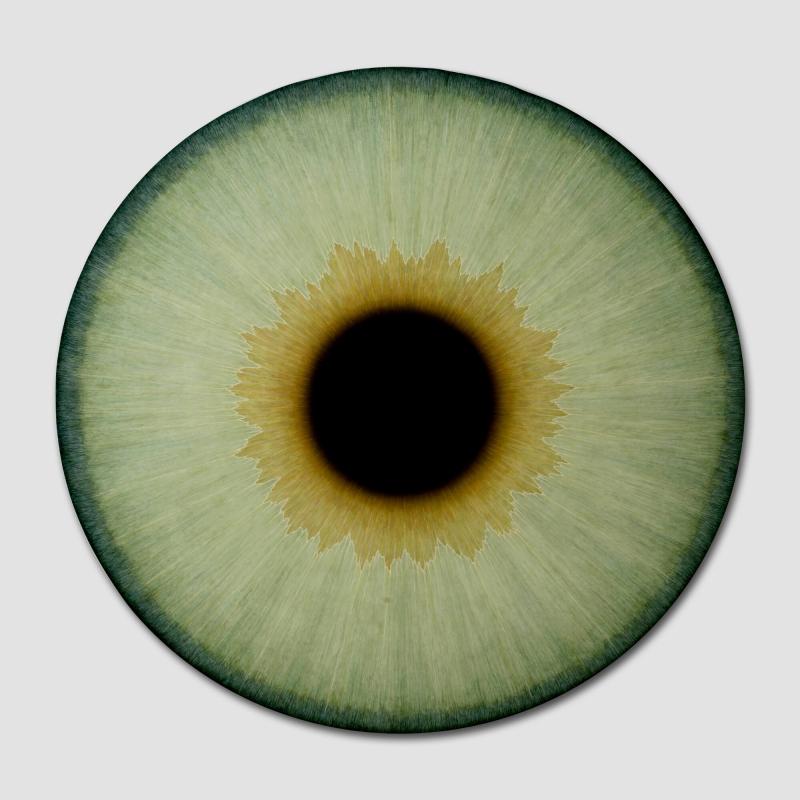 Iris XIV Hanna