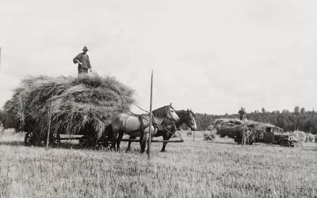 Västergötland: Höbärgning, gammalt och nytt sätt
