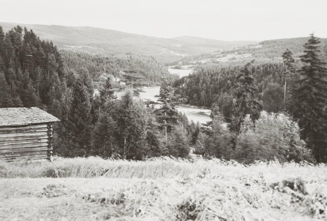 Jämtland: Indalsälven vid Bispgården