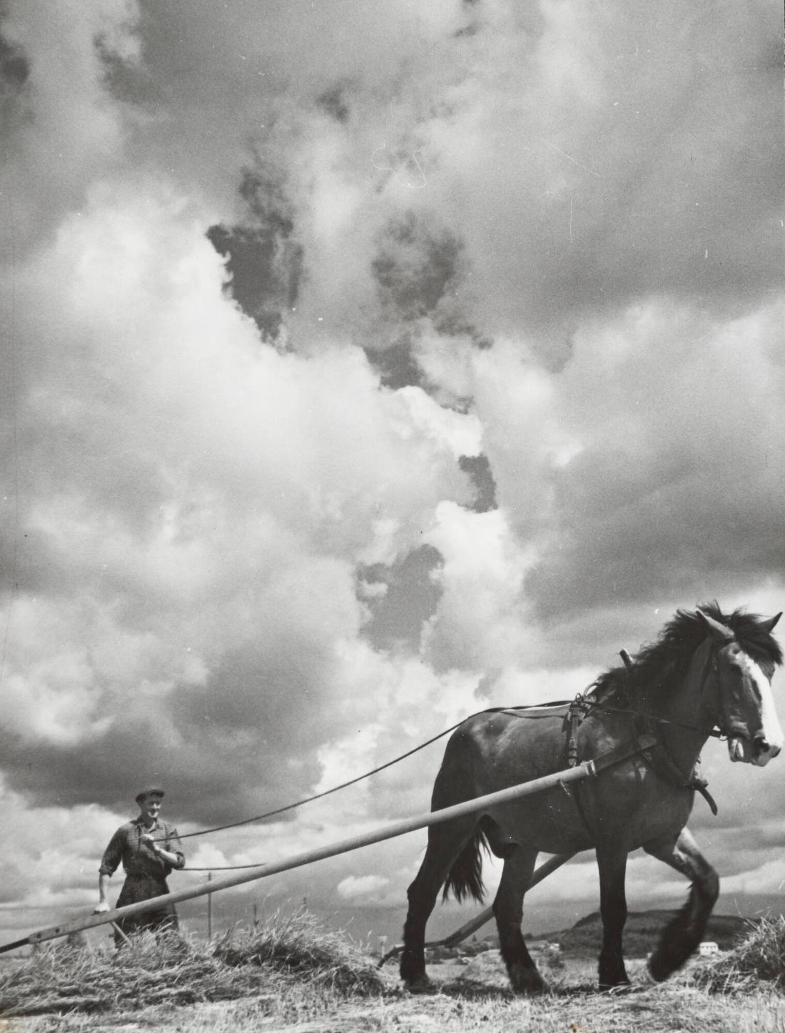 Hälsingland: I skördetider