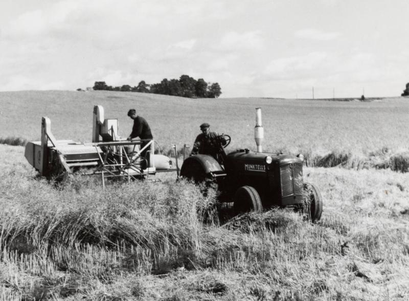 Skåne: Skördetröska på rapsfält