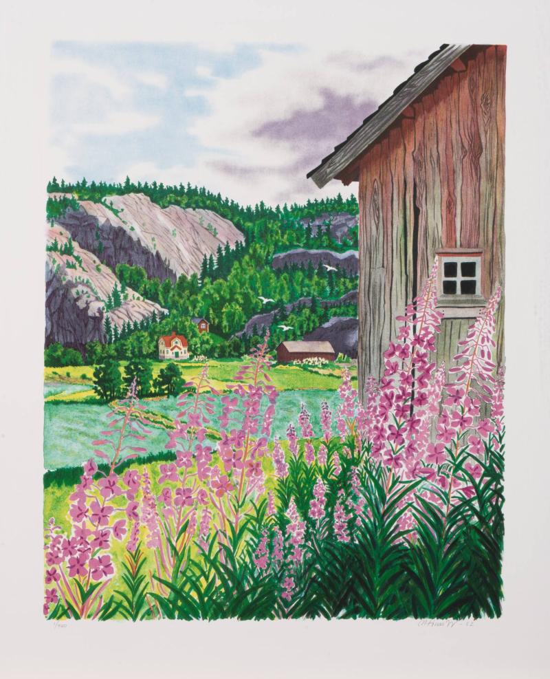 Rallarros Bärfendalen