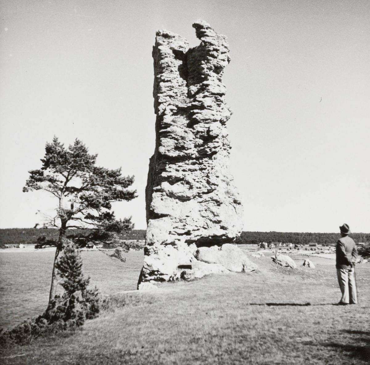 Gotland: Rauk vid Lickershamn