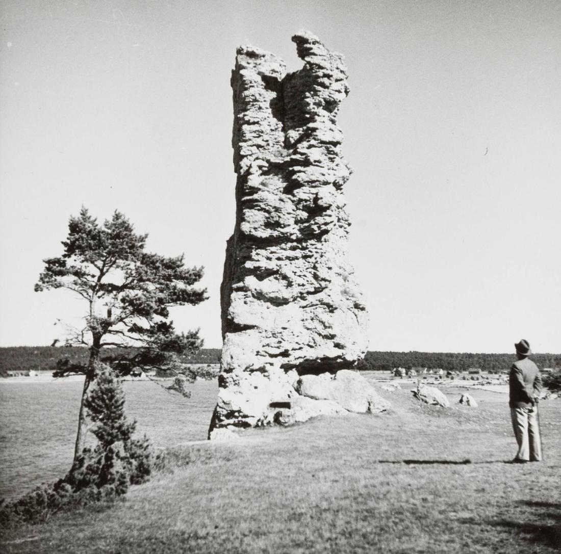 Gotland: Rauk vid Lickershamn