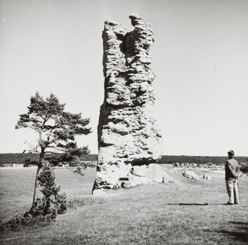 Gotland: Rauk vid Lickershamn