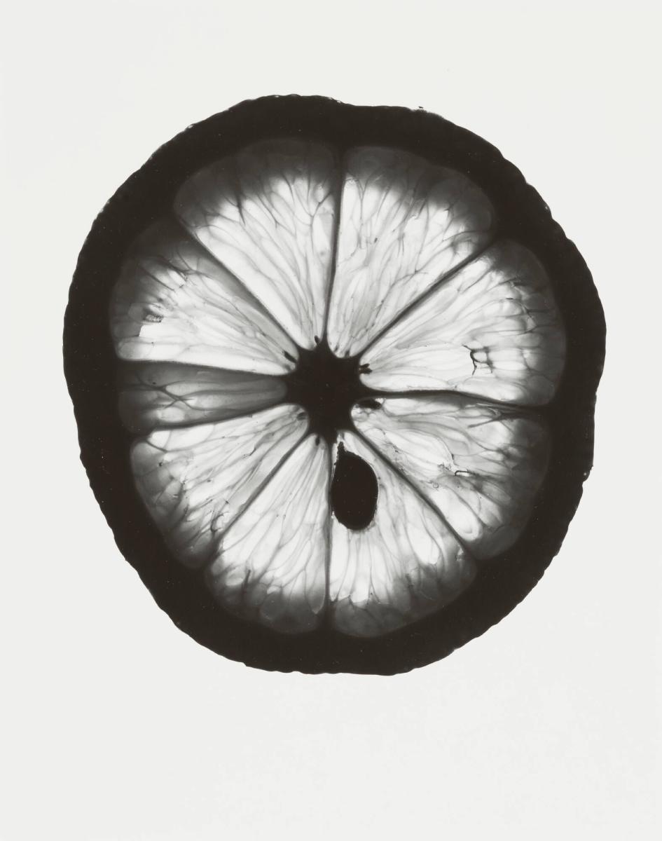 Un Citron, No 7